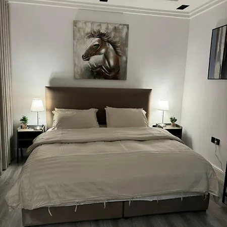 استديو فاخر دخول ذاتي Apartment Riyadh Exterior photo