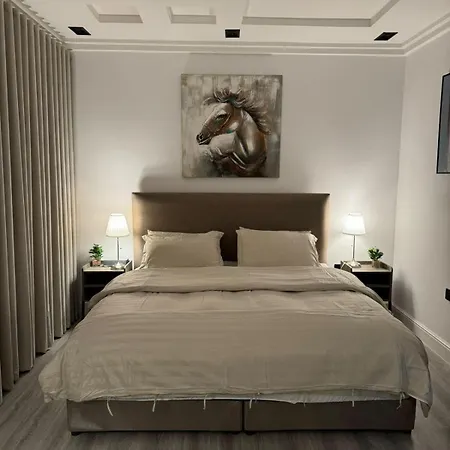 استديو فاخر دخول ذاتي Apartment Riyadh Exterior photo